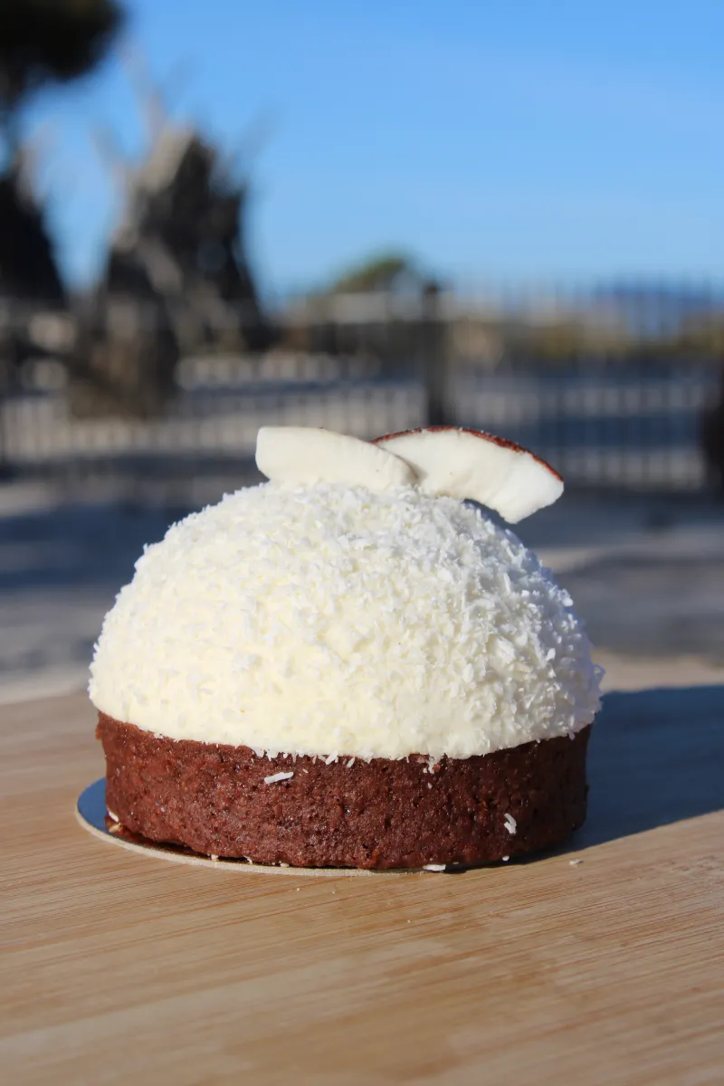 DOME COCO CHOCO