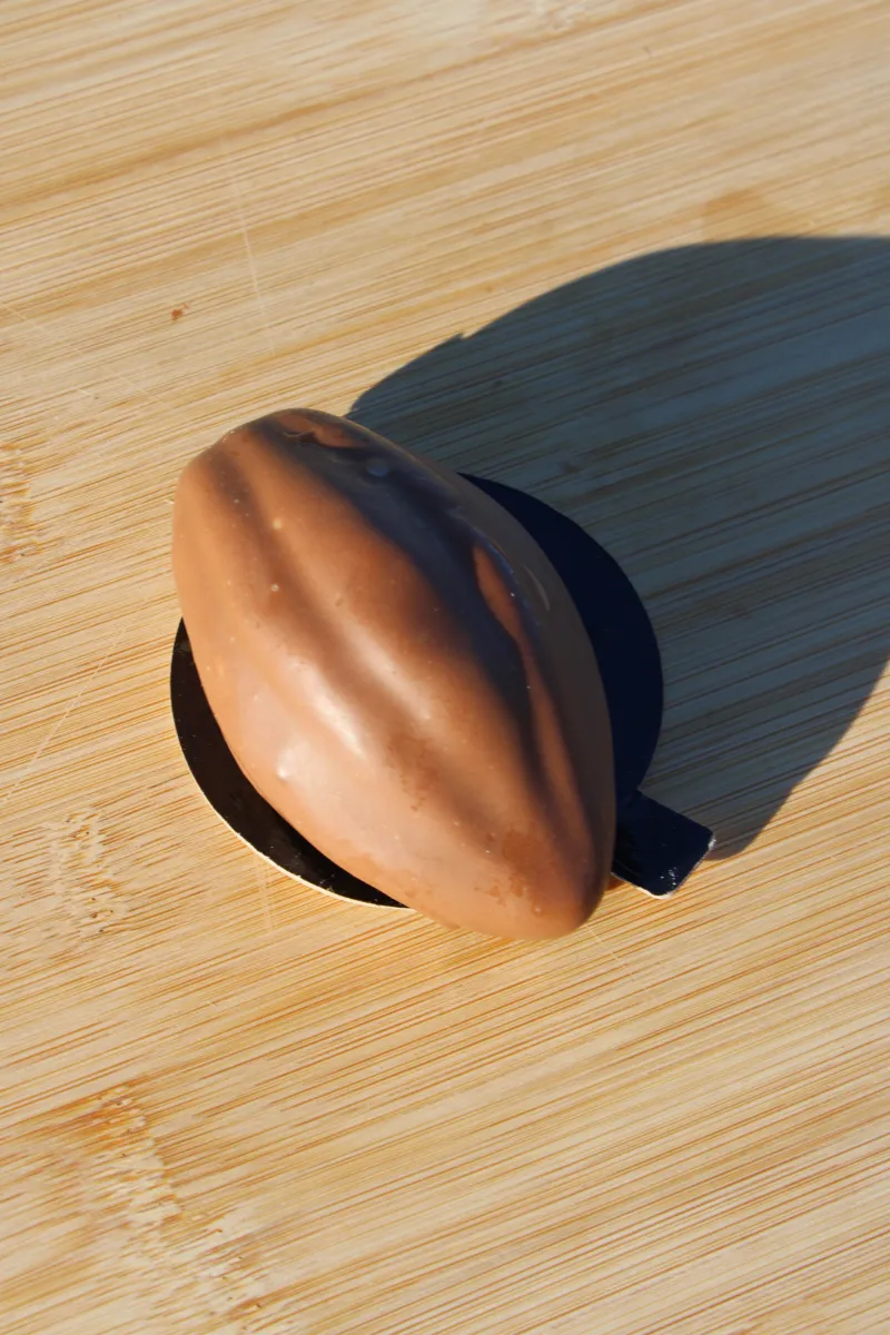 LA CABOSSE CHOCOLAT